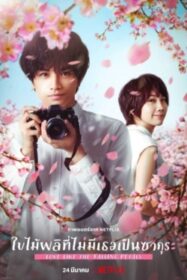 Love Like the Falling Petals ใบไม้ผลิที่ไม่มีเธอเป็นซากุระ (2022) NETFLIX