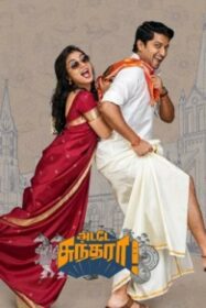 Ante Sundharaniki (2022) NETFLIX