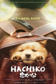 Hachiko (2023) บรรยายไทย